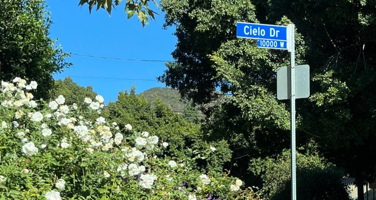 An image of the Cielo Dr street sign in Benedict Canyon