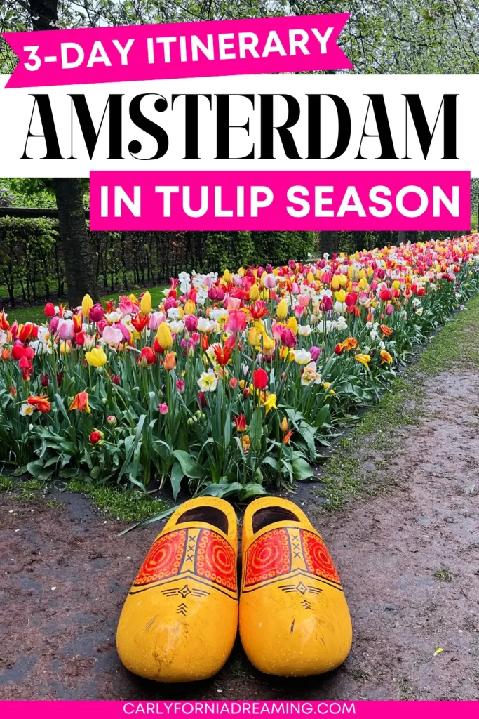 3 Day Amsterdam Itinerary for Tulip Season