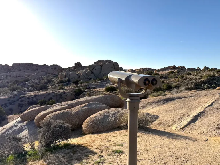 Lookout point on the Discovery Trail in Joshua Tree National Park