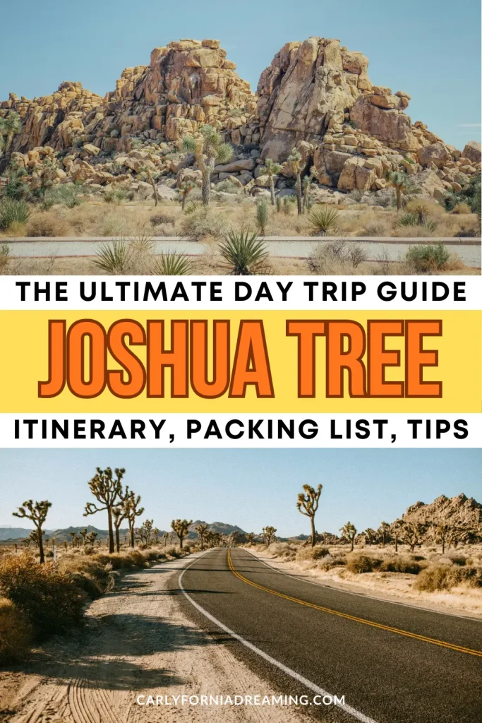 Joshua Tree Day Trip Guide from Los Angeles