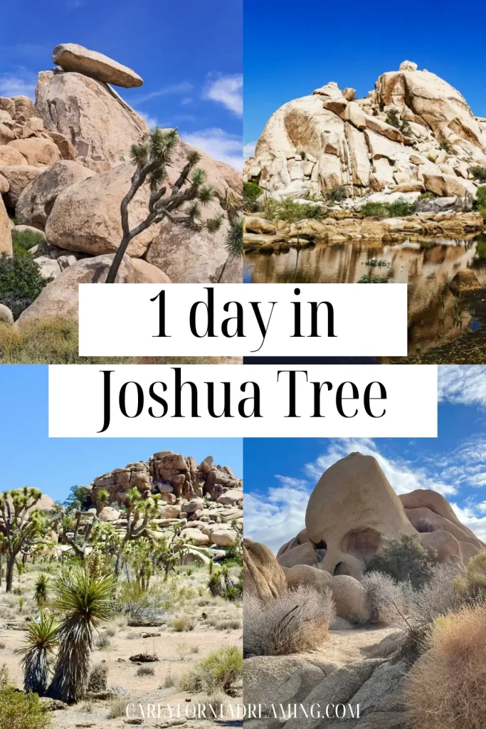 One Day in Joshua Tree National Park