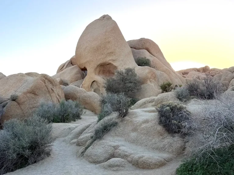 Skull Rock at sunrise in Joshua Tree National Park