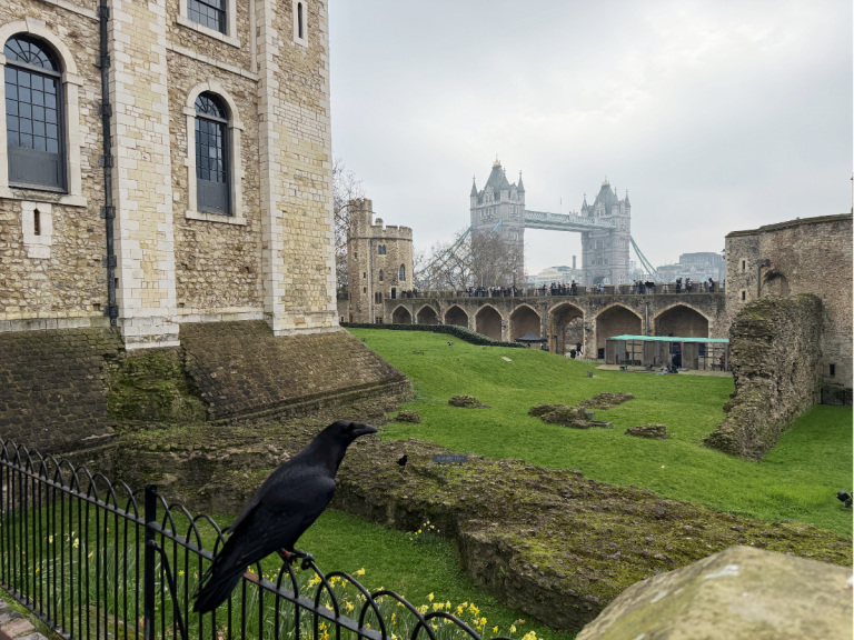 View of the Tower of London with Tower Bridge in the background along the Thames