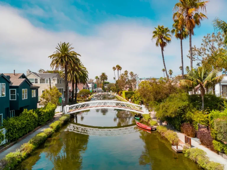 Palm trees and pedestrian bridges lining the Venice Canals in Venice Beach.