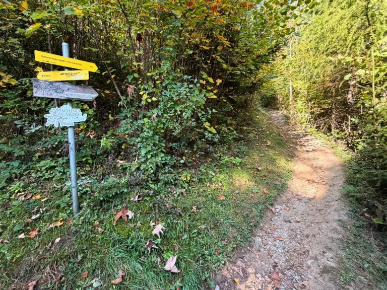 Wooden Sound of Music Trail sign pointing toward a dirt hiking path through the forest in Werfen, Austria.
